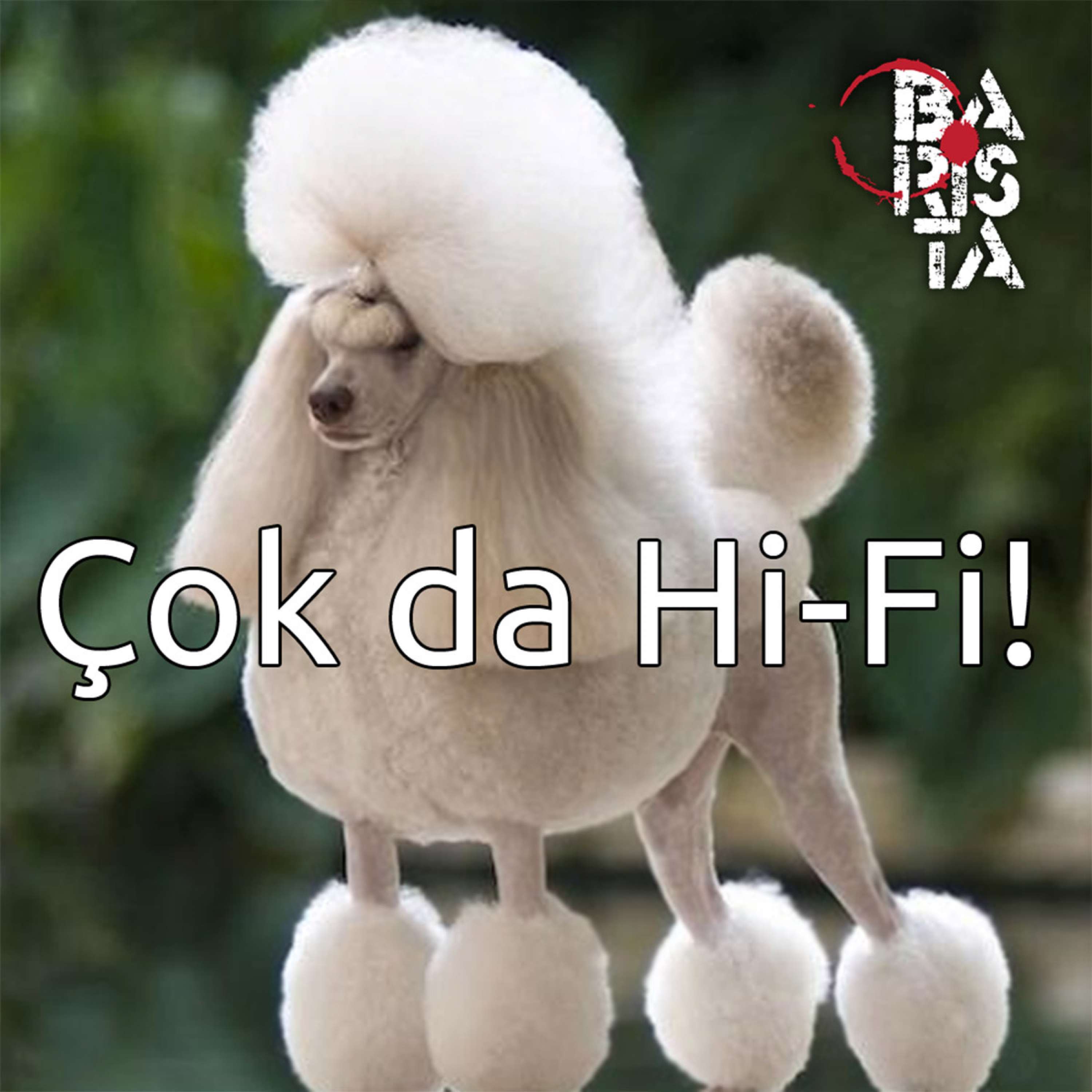 ORGANIC, UNADULTERATED, HAND-MADE MUSIC