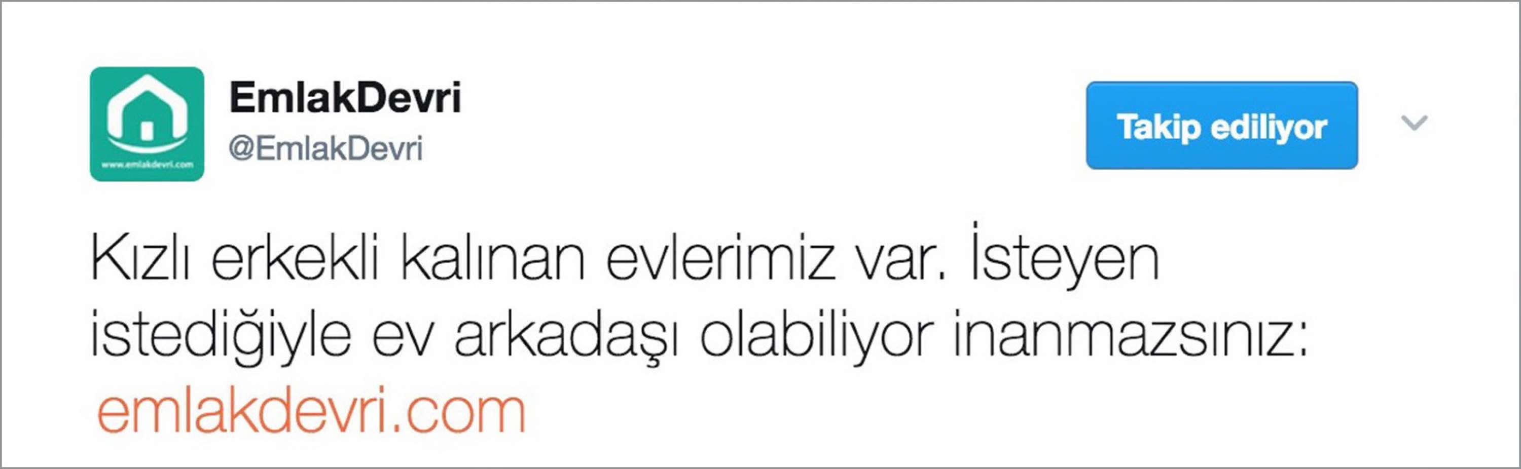 SILICON ALLEY VS. THE NEIGHBORHOOD BIG BROTHER